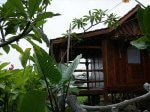 Rumah Yoyo