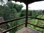 Rumah Yoyo - Image 3