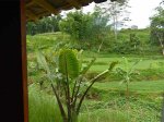 Rumah Ketapel - Image 3