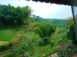 Rumah Gasing